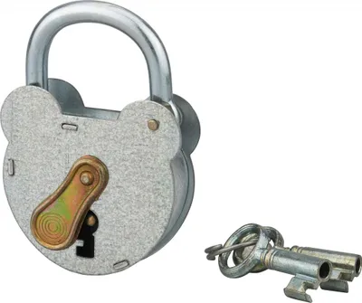Image de Cadenas à clé 2493, acier, extérieur, anse zinguée, 55mm, 2 clés - THIRARD