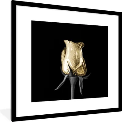 Produktbild von MuchoWow® MuchoWow® Gerahmtes Poster Rosen - Blumen - Gold - Schwarz 40x40 cm - Poster mit zchwarzem Bilderrahmen - Poster - Plakat im Rahmen