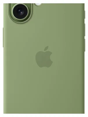 Immagine prodotto di Apple MGEX4ZM/A custodia per Apple iPhone 17 Cover Verde