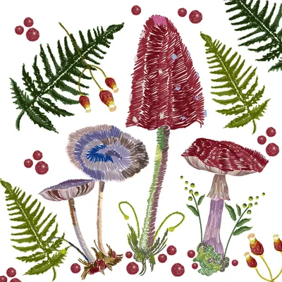 Produktbild von 20 Servietten In the Forest - Farn und Pilze 33x33cm