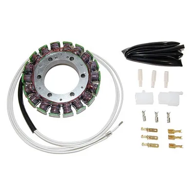 Image de Stator ElectroSport ESG09 pour alternateur pour ZX-9 R NX 650 Dominator