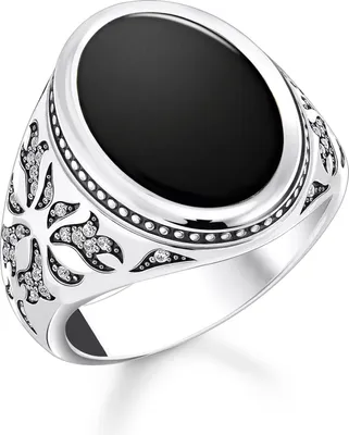 Produktbild von Thomas Sabo TR2454-641-11 Herren-Siegelring mit schwarzem Onyx Silber, 60/19,1