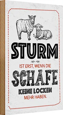 Produktbild von Holzschild Spruch lustig Sturm wenn Schafe Locken 20x30cm