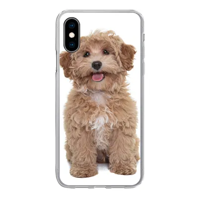 Produktbild von MuchoWow® Handyhülle Schutzhülle Hülle für iPhone X Hund - Haustiere - Fell Silikon Softcase Handy Hülle - Handyhülle