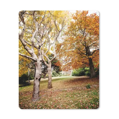 Produktbild von MuchoWow® Mauspad Mousepad Herbst - Bäume - Laub - Natur 30x40 cm - Mousepads - Maus Mat - Pad - Mausunterlage - Mausmatten