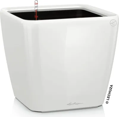 Immagine prodotto di Fioriera LECHUZA QUADRO Premium LS 21 Bianco lucido | fioriera con sistema di irrigazione | superficie lucida | 22,5 x 22,5 x 20,5 cm | 16120