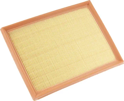 Produktbild von Luftfiltereinsatz 9813908880