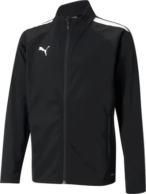 Image de Sweats Puma Teamliga Poly 65723503