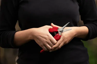 Obrázek produktu pro Zavětrovací Nůžky - Nůžky Na Sazenice květin révy