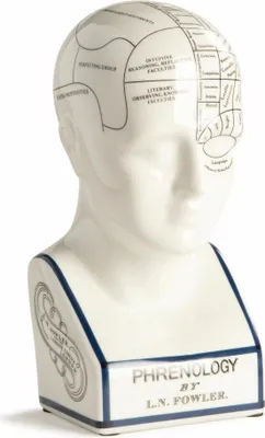 Immagine prodotto di Authentic Models Dekofigur Phrenologie-Kopf Large, Schreibtischdeko, Dekoration, MG020