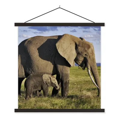 Produktbild von MuchoWow® Textilposter Elefant - Tiere - Grasland - Grün - Grau 120x120 cm mit schwarzem Rahmen - Aufhängungsset