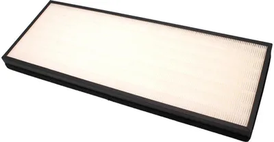 Produktbild von Rowenta XD6077F0 Allergy Ersatzfilter für optimale Luftqualität