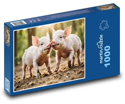 Zdjęcie produktu dla martinpuzzle - Puzzle 1000 elementów - Mała wioska