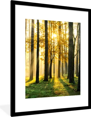 Produktbild von MuchoWow® Gerahmtes Poster Wald - Sonne - Bäume - Gras - Landschaft - Natur 60x80 cm - Poster mit Schwarzem Bilderrahmen Wandposter Rahmen Foto Bilder - Wohnzimmer - Dekorationen - Prämie