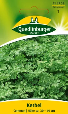 Produktbild von Quedlinburger Saatgut - Kerbel Commun - Samen - 418952