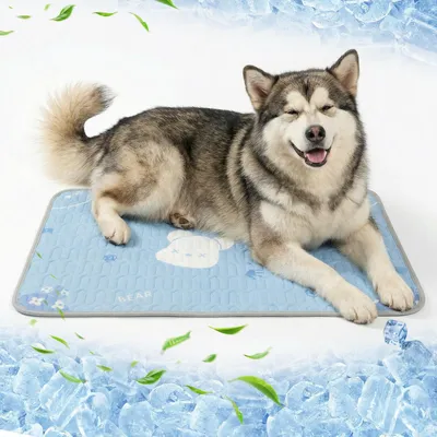 Kühlmatte für Hunde 50x70 cm, selbstkühlend, waschbar