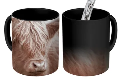 Obrázek produktu pro MuchoWow® Kouzelný pohár Skotský horal - Zvířata - Portrét 350 ml Barva měnící se pohár Dárkový nápad - foto hrnek