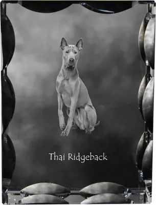 Immagine prodotto di Thai Ridgeback - cristallo con foto del cane, statuetta in vetro con foto, cornice unica con foto del marchio Art-Dog