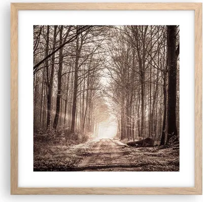 Produktbild von Gerahmtes Poster - Rahmen in heller Eiche - Wald Straße Baum - 40x40 cm - Wand Bild - Wanddeko - Wandbilder - Kunstposter - Wandposter - Bilderrahmen - Bilder - Kunstdruck - Wandbild - P2NAC40x40-3620