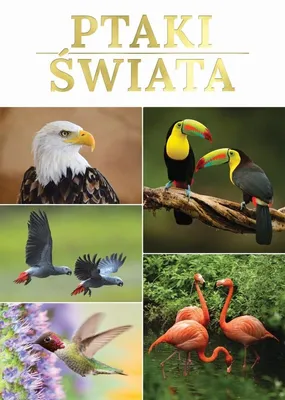 Imagen del producto de Aves del mundo