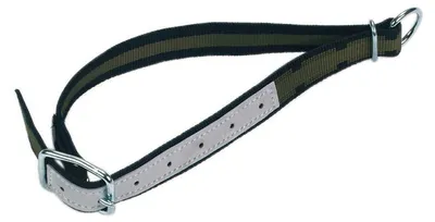 Productafbeelding van Halsband 85x4cm met ovalen ring en D-ring