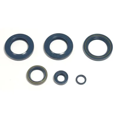 Obrázek produktu pro Sada těsnění motoru Athena P400270400051