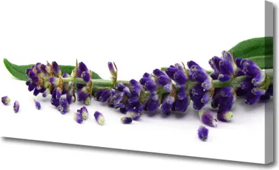 Produktbild von Tulup Leinwand-Bilder 125x50 Wandbild Canvas Kunstdruck Blumen Blätter Pflanzen