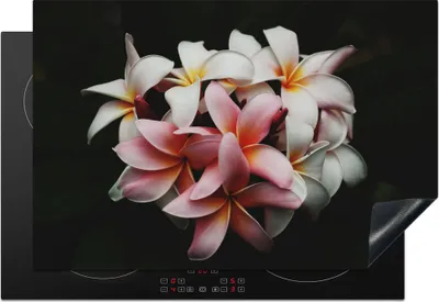 Produktbild von KitchenYeah© Herdabdeckplatte Blumen - Rosa - Schwarz - Flora - Botanisch , 76x51cm, Küche Deko, Glaskeramikkochfeld Herdabdeckung, Abdeckplatte fùr Kochfeld