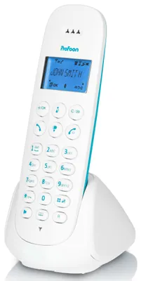 Obrázek produktu pro Profoon Pdx-300