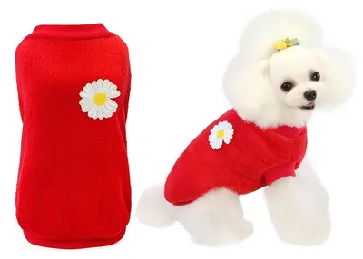 Image de Pull en polaire rouge pour chien, taille M