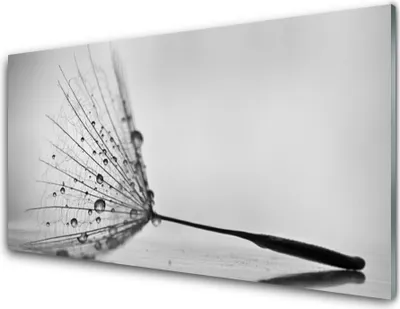 Produktbild von Acrylglasbilder 100x50 Wandbild Druck Pusteblume Pflanzen