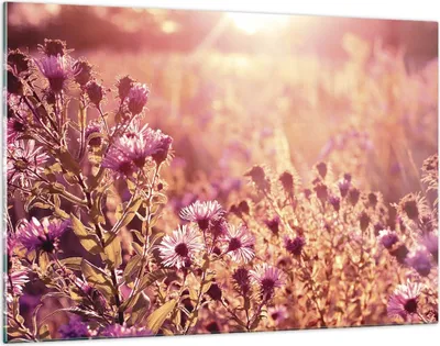 Produktbild von Bilder auf glas - Einteilig - Wiese Blumen Sonne - 120x80cm - Glasbilder - Wandbilder - Bilder - zum Aufhängen bereit - Wanddekoration aus Glas - Glas Bilder - Wandbild auf Glas - GAA120x80-4819