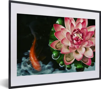 Produktbild von MuchoWow® MuchoWow® Gerahmtes Poster Ein Koi-Karpfen mit einer rosa Blume 40x30 cm - Poster mit zchwarzem Bilderrahmen - Bilderrahmen - Poster im Rahmen