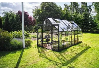 Produktbild von Gewächshaus Halls Icon 8 11,2 m² Blankglas 3 mm 254,7 x 441,3 cm schwarz