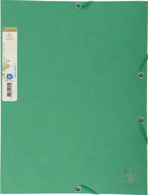 Image de Exacompta 25x Chemise 3 rabats à élastique recycl 380g/m2 A4 Vert foncé 56983E