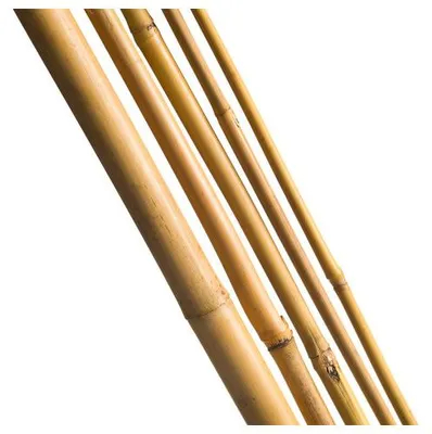 Productafbeelding van Nature Bamboestok naturel 120cm