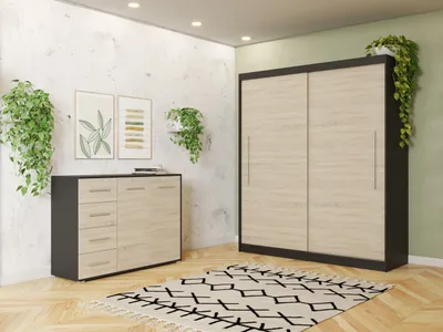 Image de Armoire à portes coulissantes Armoire deux portes 204 cm Commode 135 cm Noir/SonomaTorino II Frida 01