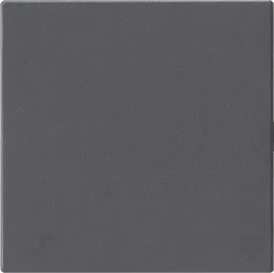 Produktbild von Gira Blindabd. o.Tragring System 55 Anthrazit 810828