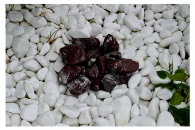 Produktbild von Dekosteine Rot 4-8 cm 15 kg - Kieselsteine für Garten, Teich und Gabionen - Große Steine für Blumentöpfe, Vasen, Terrarium und Aquarium - Gartendeko aus Naturmaterialien