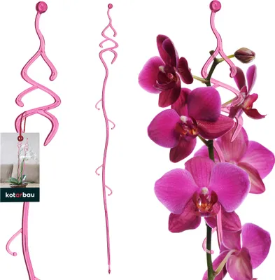 Immagine prodotto di KOTARBAU® Supporto per piante Rosa PVC 55 cm Abete Supporto per fiori Aiuto per arrampicarsi Piante da appartamento Supporto per fiori Giardino Bastone per orchidee Bastone di supporto Piante Supporto decorativo per piante da appartamento Bastoni per arrampicarsi