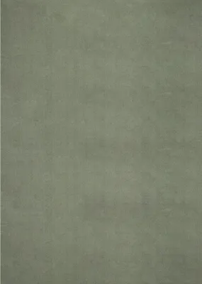 A plain, textured background.