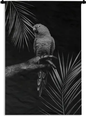 Produktbild von MuchoWow® Wandteppich Wandbehang Tropischer Vogel vor schwarzem Hintergrund - schwarz und weiß 60x90 cm Tapisserie Dekoration Wandtuch - Foto-Teppich - Abwaschbar