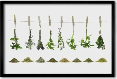 Produktbild von Bild 60x40 MDF-Rahmen Wandkunst Blumen Pflanzen Natur