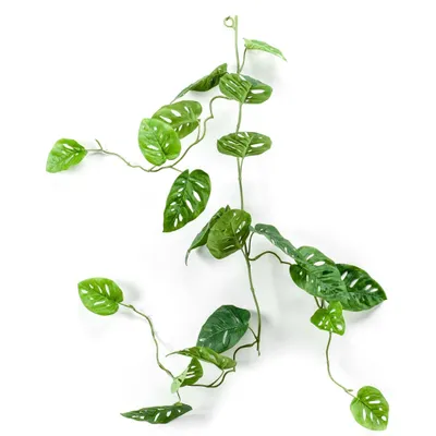 Produktbild von Emerald Kunstpflanze Monstera Monkey Gierlande 120 cm