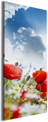Produktbild von Wallario Premium Leinwandbild Mohnblumen unter blauem Himmel in Größe 60 x 150 cm