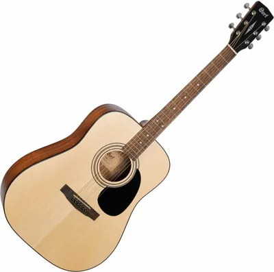 Acoustic guitar on a white background.