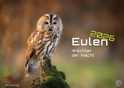 Produktbild von Eulen - Wächter der Nacht - 2026 - Kalender DIN A3