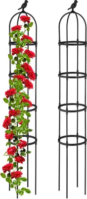 Productafbeelding van Famanu plantensteun, 188x30 cm, voor klimplanten - Decoratieve metalen vogel, vrijstaand, zwart - Set van 2 halfronde plantensteunen