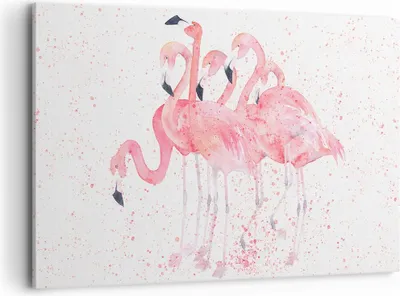 Produktbild von Bild auf Leinwand - Leinwandbild - Flamingo Vogel Wasser - 120x80cm - Wand Bild - Wanddeko - Leinwanddruck - Bilder - Kunstdruck - Wanddekoration - Leinwand bilder - Wandkunst - AA120x80-3899