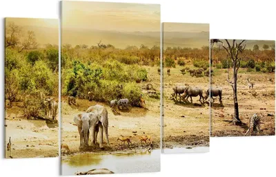 Produktbild von Bild auf Leinwand - Leinwandbild - Safari Tiere - 120x70cm - Wand Bild - Wanddeko - Wandbilder - Leinwanddruck - Bilder - Kunstdruck - Wanddekoration - Leinwand bilder - Wandkunst - DL120x70-3880